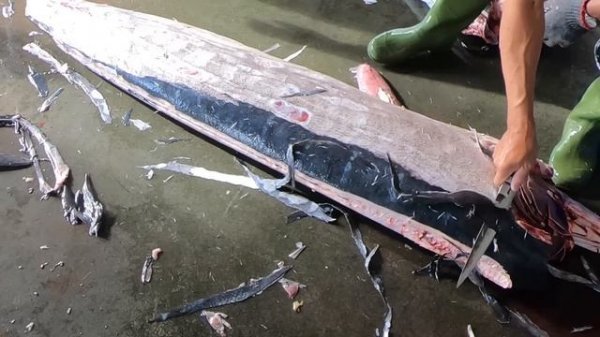 Giant Marlin Cutting Skills  - How to Cut a Marlin Fish