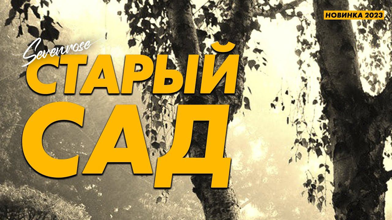 СТАРЫЙ САД ♫♬ SEVENROSE feat. Алевтина Бердникова ♫♬ Новинка 2023 смотреть онлайн