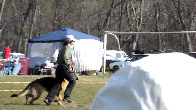 №97 tbs Рус Герц Адель Лангрет смотреть онлайн