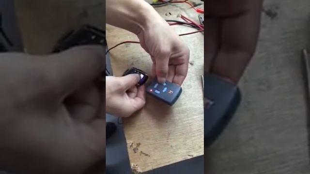 copy Hormann смотреть онлайн