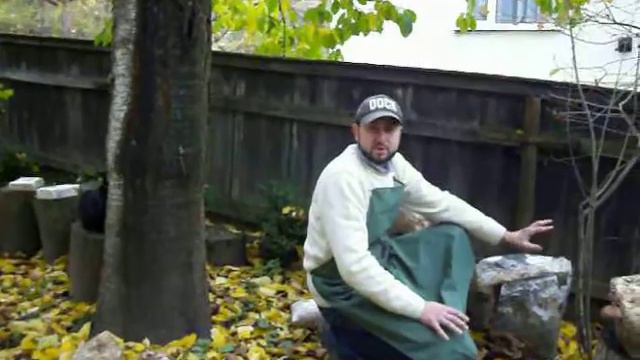 Посадка вешенки на свежий срез ствола.MOV смотреть онлайн