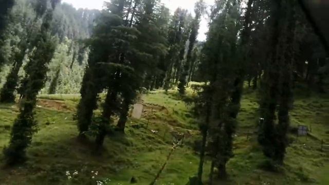 Beautiful view of Janjehli (Mandi) Himachal Pradesh смотреть онлайн