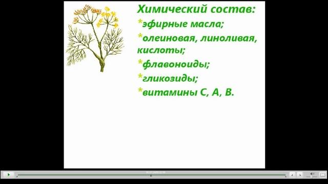 Фенхель Полезные свойства смотреть онлайн