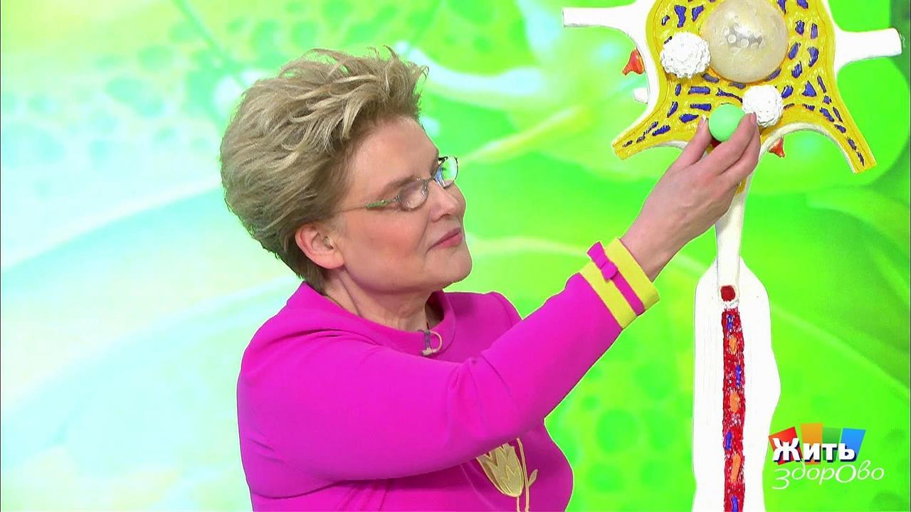 Что делать, если вас укусили? Жить здорово! Фрагмент выпуска от 29.11.2017 смотреть онлайн