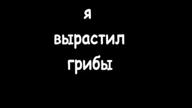 долгий рассказ о грибах.mp4 смотреть онлайн