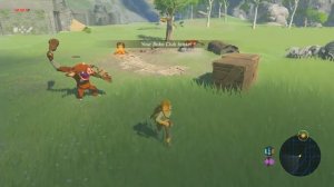 Видео про Zelda: Breath of the Wild