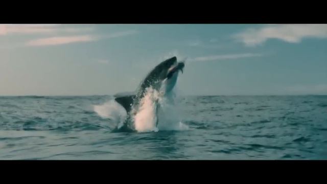 Dark Tide Official Trailer #1 - Halle Berry Movie (2012) смотреть онлайн