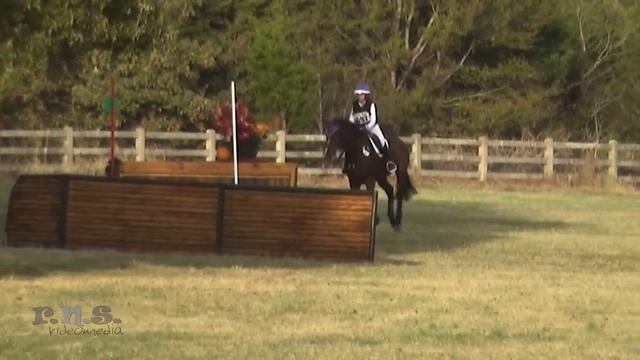 Courtney Roberts & Asterisk Texas Rose Horse Trials November 2017 смотреть онлайн