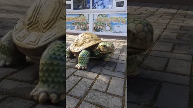 Еще одна достопримечательность Анапы ? смотреть онлайн