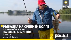 Алексей Шанин. Рыбалка на Средней Волге. Часть 2. Крупный окунь на воблеры-минноу. Anglers Practical