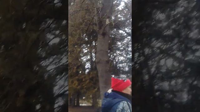 Гуляем в Кисловодске смотреть онлайн