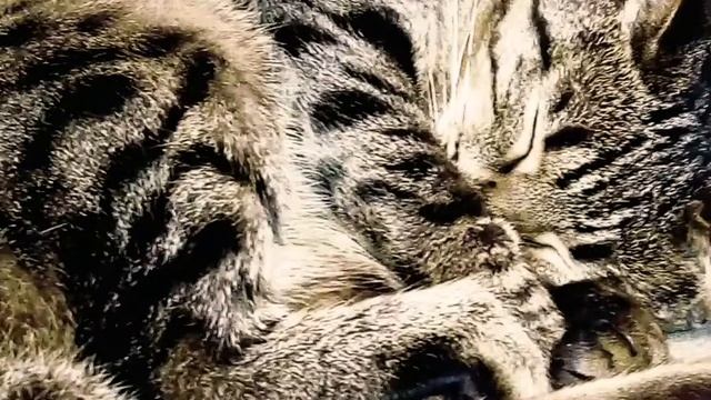 мои самые лучшие фото ?