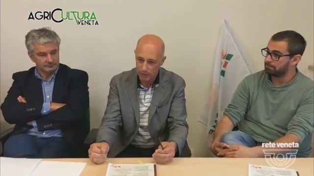 AGRICULTURA VENETA - MELA COTOGNA .(23/09/2017) смотреть онлайн