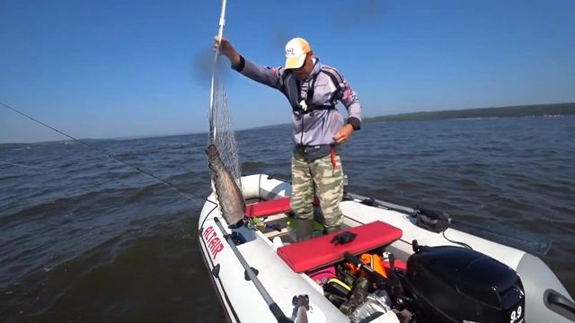 Рыбалка с лодки. Ловил судака, а поймал сома! смотреть онлайн