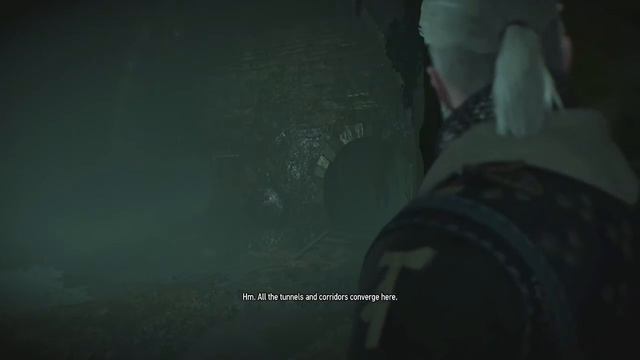 The Witcher 3 Hearts of Stone Walkthrough Part 1: Toad Prince, Mysterious stranger смотреть онлайн