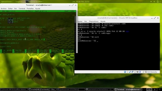 Instalacion Oracle 11gr2 parrte 4: Estructura de directorios y kernel смотреть онлайн