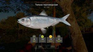 Русская Рыбалка 4 ► Тюлька черноморская - р.Северский Донец