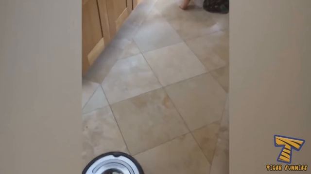 PRICELESS FACES Of BABIES GETTING SURPRISED - The FUNNIEST BABY REACTION Videos