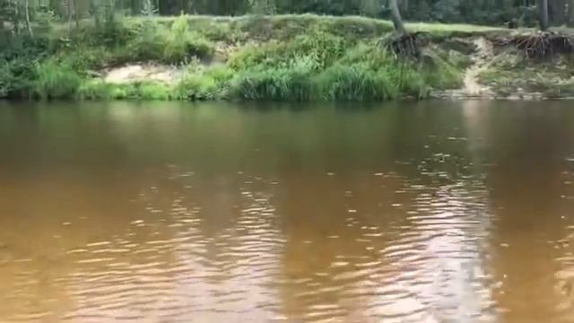 Ляды, Псковская область смотреть онлайн