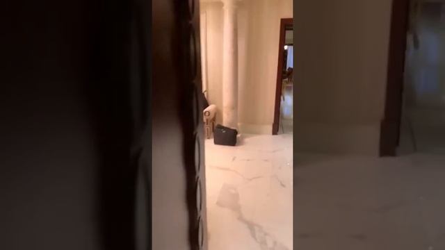 Мой Любимый Гранд Отель Европа! Мой Дом в Питере) ❤️ смотреть онлайн