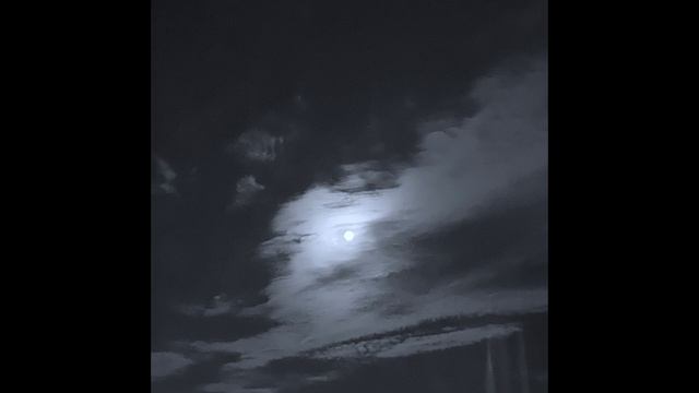 я не помню, каково это — быть в покое | плейлист смотреть онлайн