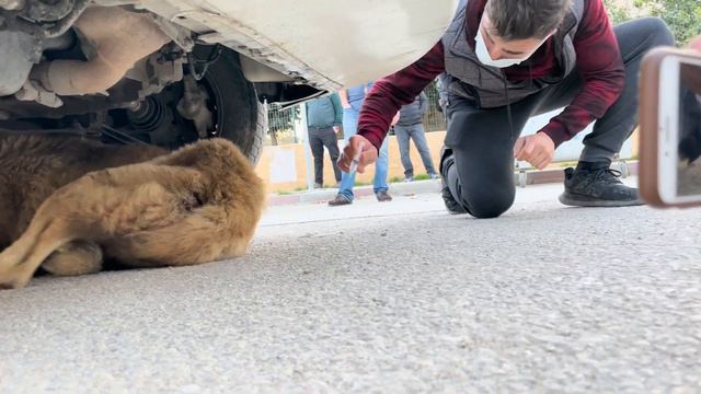 AN IMPOSSIBLE RESCUE SITUATION! смотреть онлайн