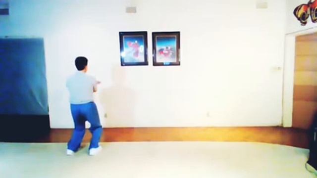 108 Yang Style Tai Chi Chuan Long Form (Back View)