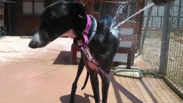 Ishwar A Boy from Nowhere смотреть онлайн