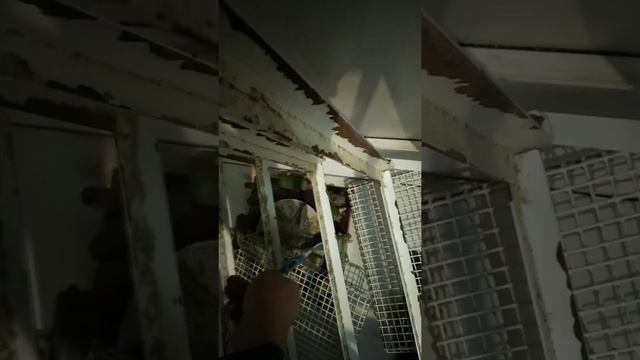 Чистка нагревателей и лопостей инкубатора ифх 500 нс смотреть онлайн