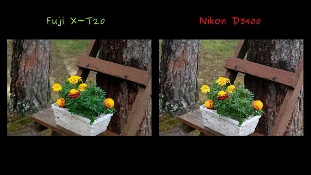 Nikon D3400 vs Fuji X-T20. Which is better? Surprise at high ISO! смотреть онлайн