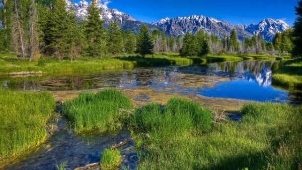 Infiniti & D.I.P. Project - Life is wonder