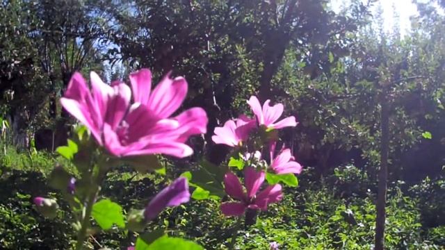 Tajikistan - Country In Asia / Рогунский район-Таджикистан природа