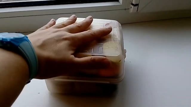 ЇЖА МАНДРІВНИКІВ. ПЕРЕКУС В ДОРОГУ. ЛАНЧ БОКС ДЛЯ ДІТЕЙ / ЛАНЧ БОКС ДЛЯ ДЕТЕЙ. ЕДА ПУТЕШЕСТВЕННИКОВ смотреть онлайн