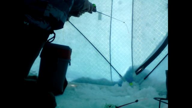 Рыбалка на о.Шаблиш 14.02.2020 смотреть онлайн