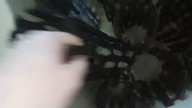 Хвосты дракона смотреть онлайн