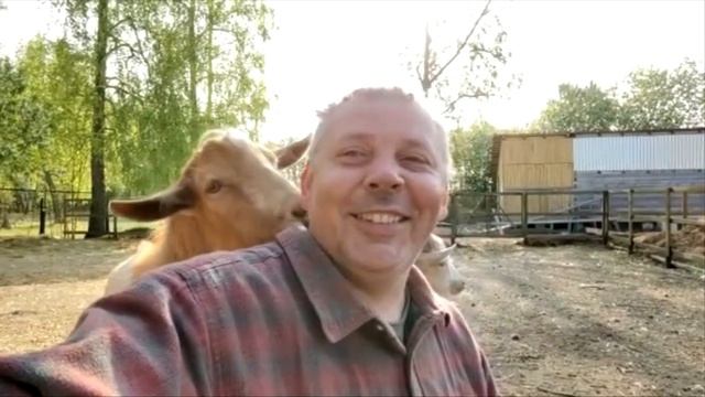 Знакомьтесь-Бонифаций, ну или просто КОЗЕЛ ЗААНЕНСКИЙ смотреть онлайн