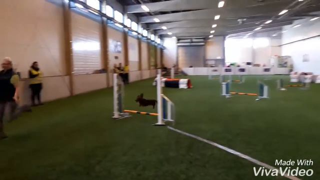 Zola mini2 AGRY 2.10.2016 Anne Savioja смотреть онлайн