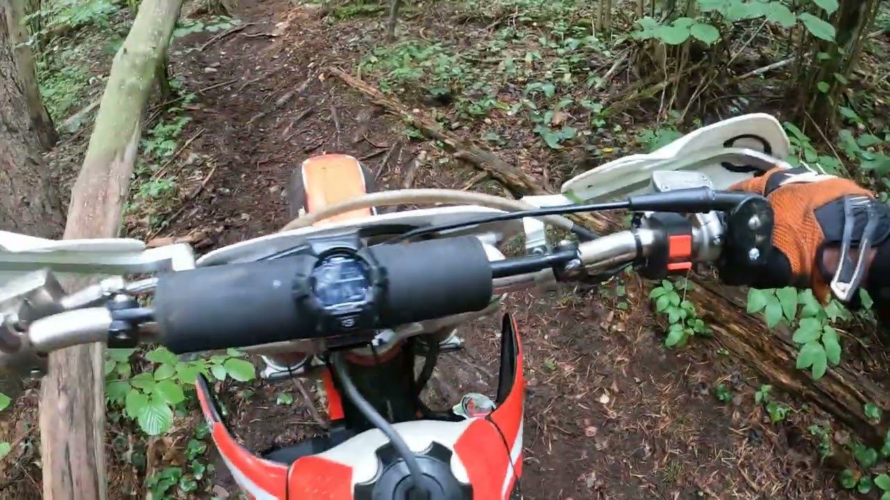 Печорский кабан 2023. Сбор грибов смотреть онлайн