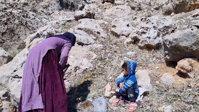 In Search of Edible Mountain Plants: Life of Parvaneh and Shayan Nomads смотреть онлайн