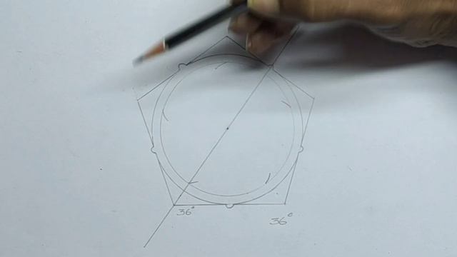 Solanaceae Datura Metel- Floral Diagram
