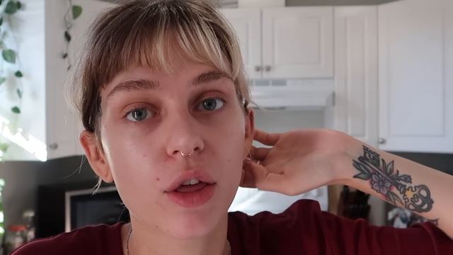 Begonia Unboxing | TG Orchids смотреть онлайн