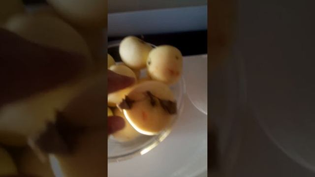 Строительные Магнаты