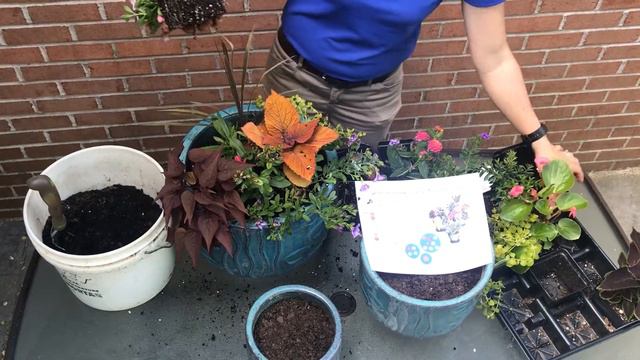 Trio for Sun or Shade смотреть онлайн