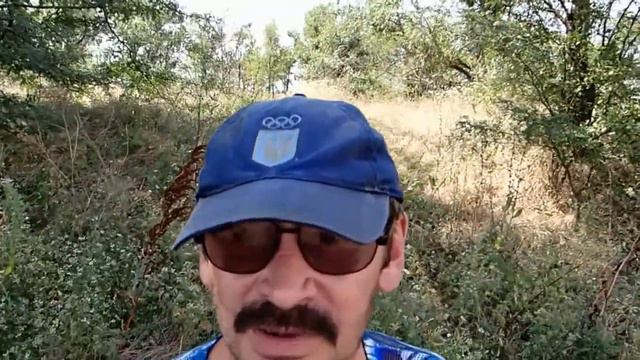 Тюковка и погрузка сено,второй укос (2) 14.07.2015