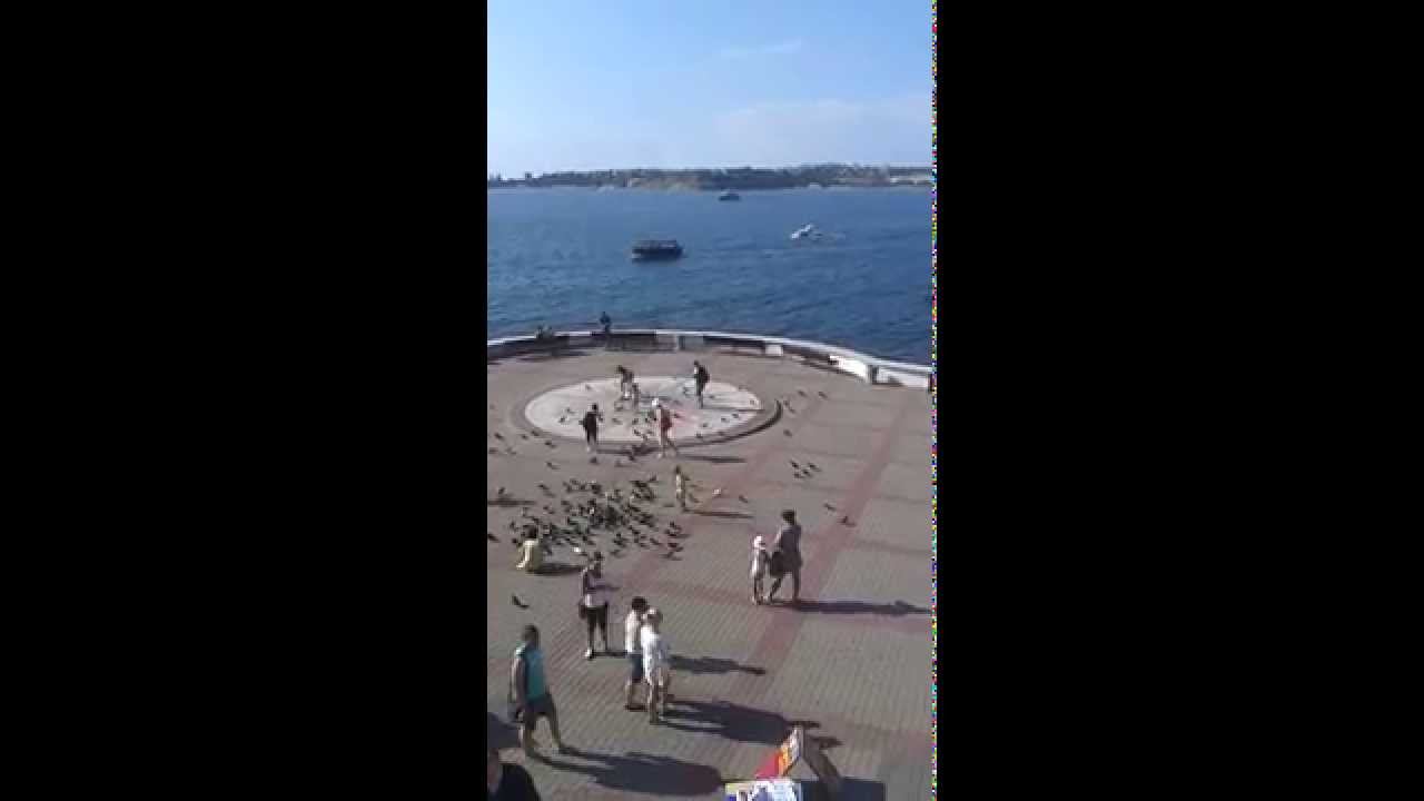 Севастополь. Приморский бульвар.