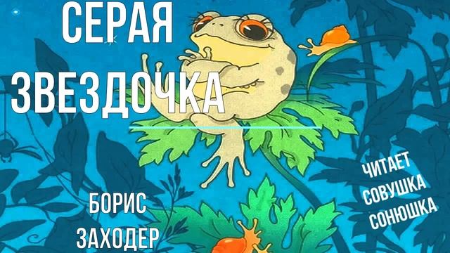 Борис Заходер - Серая звездочка смотреть онлайн