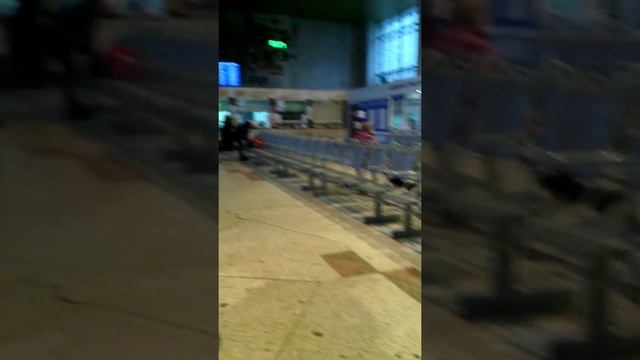 Воробьи в автовокзале Ульяновска !!! смотреть онлайн
