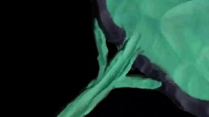 Мы живём в России - Украина (Видеоэнциклопедия нашей страны)