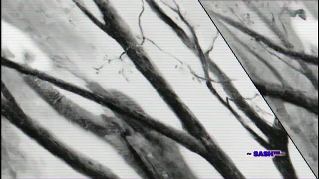 Вадим Казаченко Моя первая любовь видеомонтаж ~ SASH™~ HD Studio Starstalker 2013 смотреть онлайн