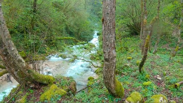 Hiking in Georgia- Samegrelo - Oniore Waterfall, Kaghu Waterfall (Episode-1) смотреть онлайн